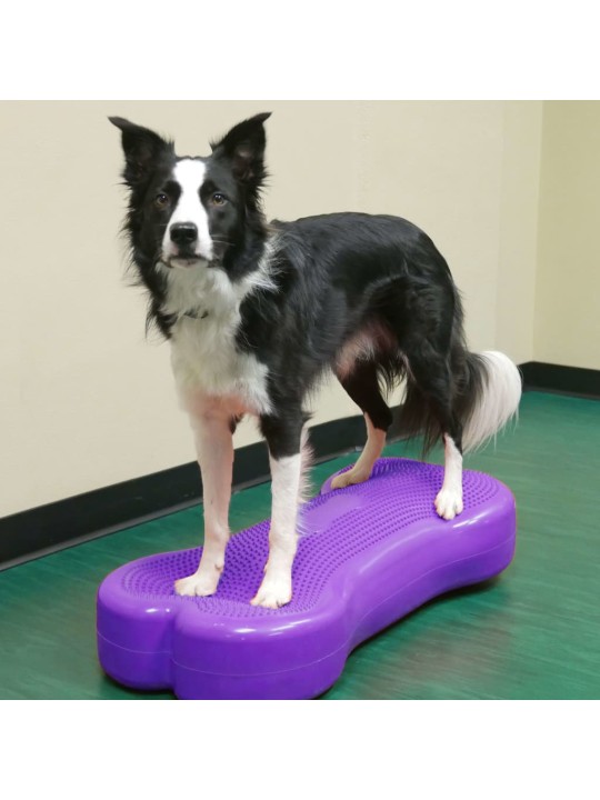 FitPAWS Balansinė platforma Giant K9FITbone, violetinė, PVC