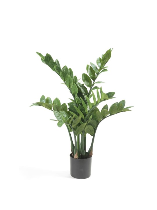Emerald Dirbtinis zamokiulkas, 70cm