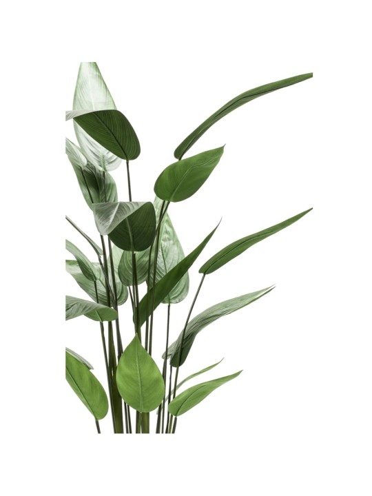 Emerald Dirbtinis augalas helikonija, žalias, 125cm, 419837