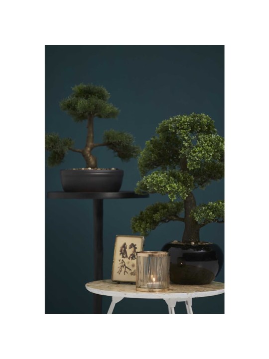 Emerald Dirbtinis fikusas, mini bonsai medis, žalias, 47cm, 420006