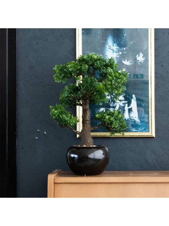Emerald Dirbtinis fikusas, mini bonsai medis, žalias, 47cm, 420006