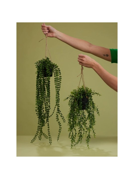 Emerald Dirbtinis smulkusis fikusas vazone, 60cm, pakabinamas