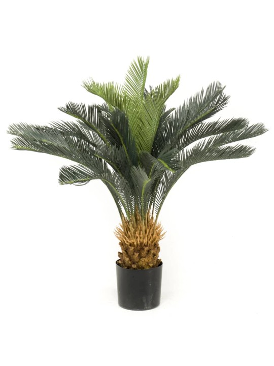 Emerald Dirbtinis augalas-paprastasis cikas vazone, 80cm