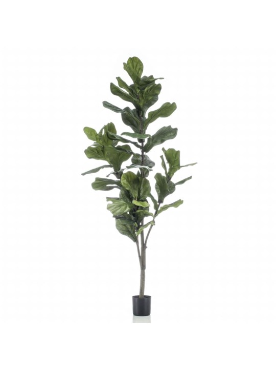 Emerald Dirbtinis lyralapis fikusas, 160cm
