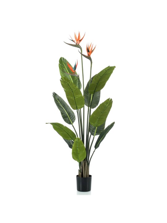 Emerald Dirbtinis augalas-vazoninė strelicija su žiedais, 120cm