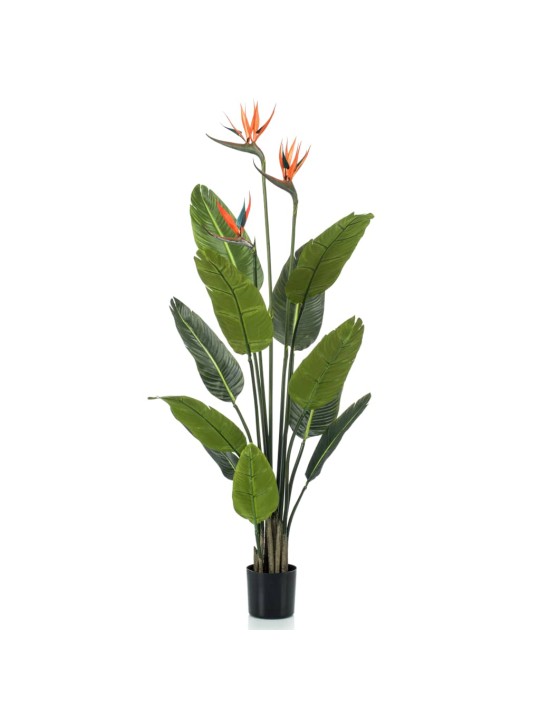 Emerald Dirbtinis augalas-vazoninė strelicija su žiedais, 120cm