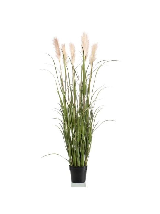 Emerald Dirbtinė pampų žolė vazone, 160cm