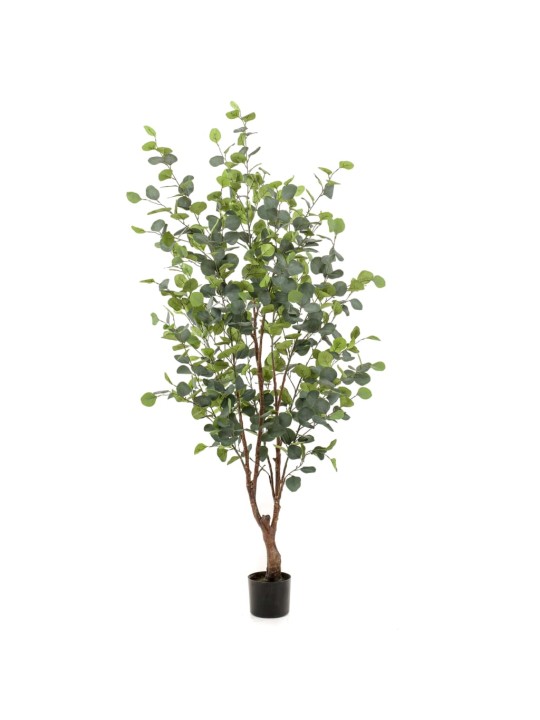 Emerald Dirbtinis eukaliptas vazone, 140cm