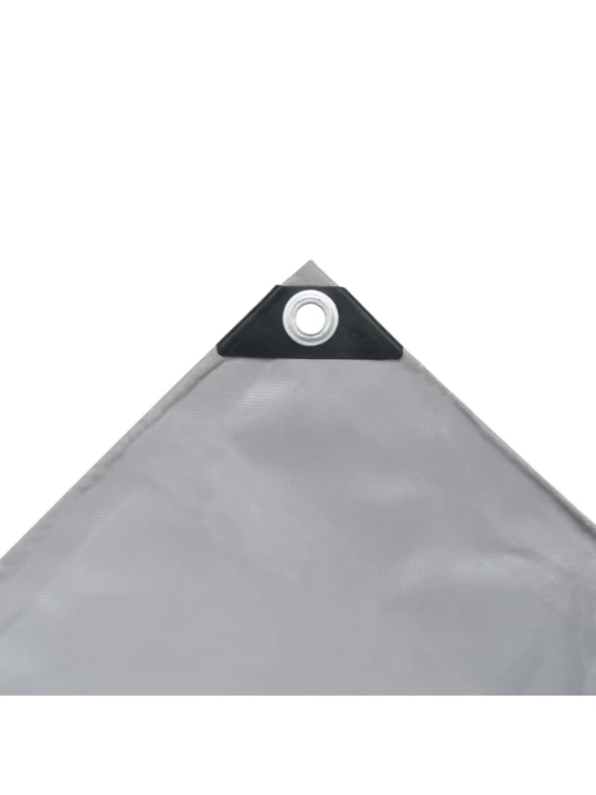 Tentas, pilkos spalvos, 4x5m, 650g/m²