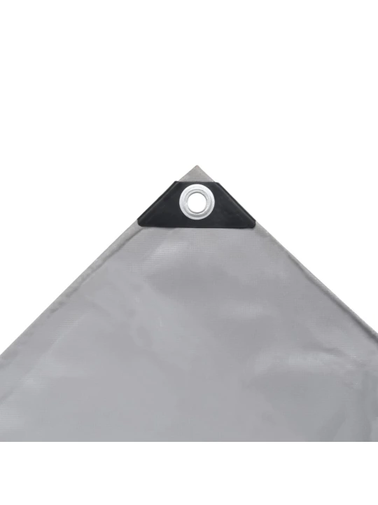 Tentas, pilkos spalvos, 4x7m, 650g/m²