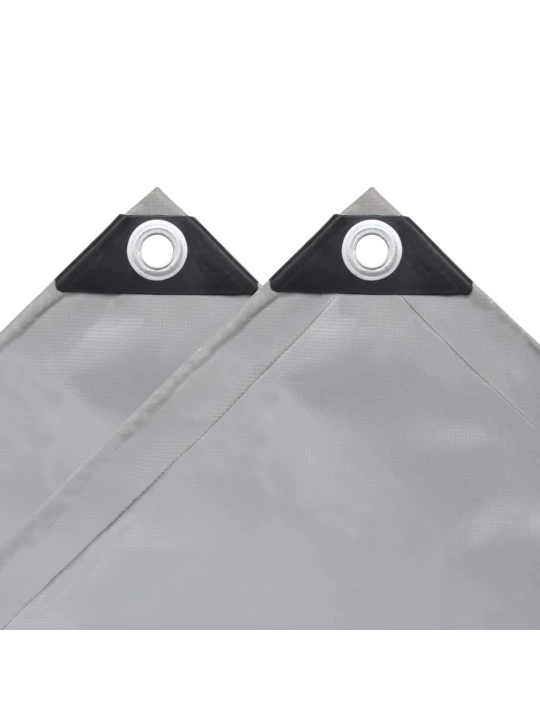 Tentas, pilkos spalvos, 4x7m, 650g/m²