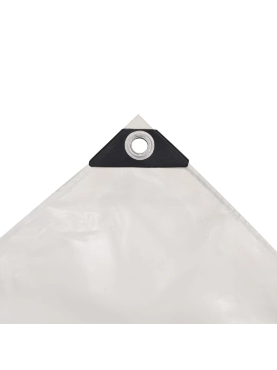 Tentas, 650g/m², 4x5m, baltas
