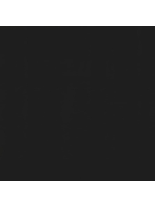 Ištraukiama markizė, antracito spalvos, 300x150 cm
