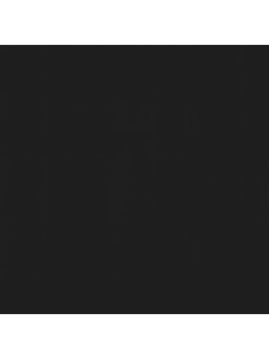Ištraukiama markizė, antracito spalvos, 300x150 cm