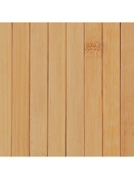 Kambario pertvara, natūralios spalvos, 250x165cm, bambukas