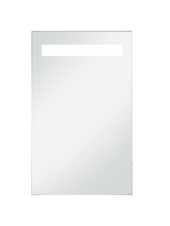 Sieninis vonios kambario veidrodis su LED, 60x100cm