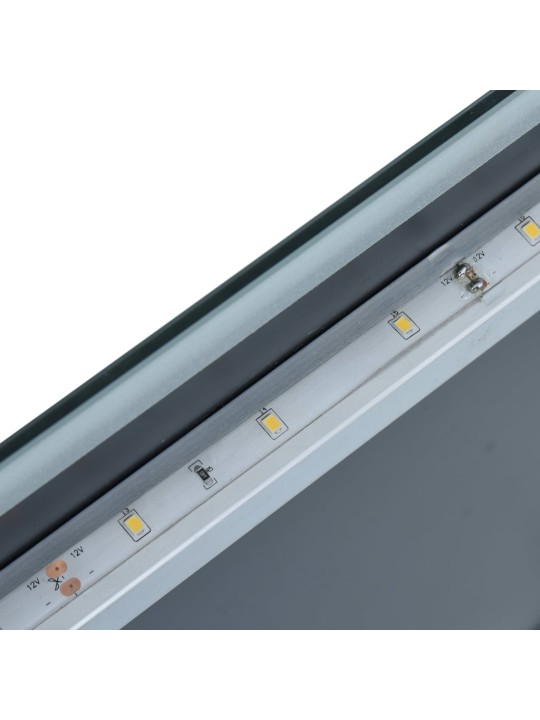 Sieninis vonios kambario veidrodis su LED, 60x100cm