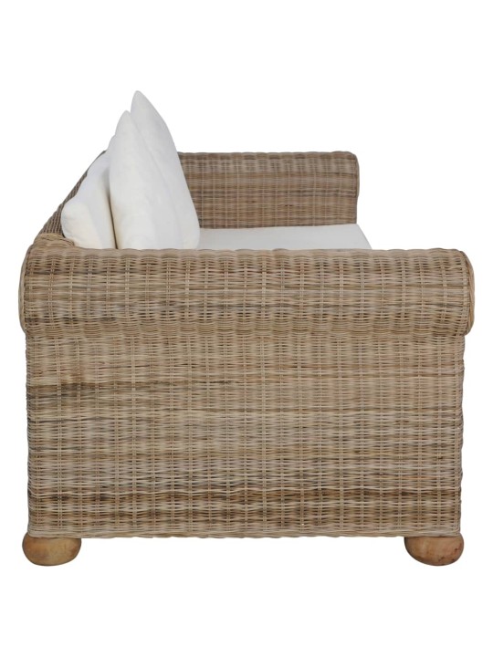 Dvivietė sofa su pagalvėlėmis, natūralios spalvos, ratanas