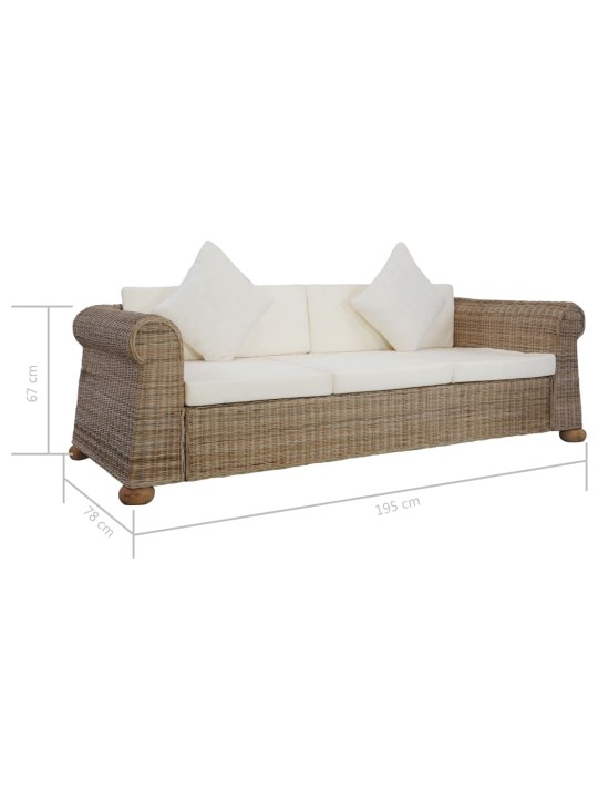 Trivietė sofa su pagalvėlėmis, natūralios spalvos, ratanas
