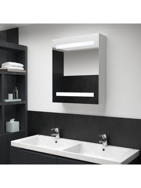 Veidrodinė vonios spintelė su LED apšvietimu, 50x13,5x60 cm