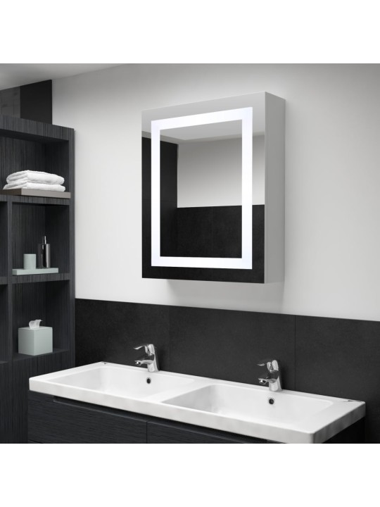 Veidrodinė vonios spintelė su LED apšvietimu, 50x13x70cm