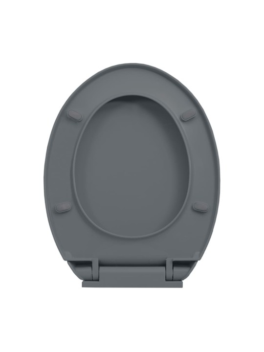 Klozeto sėdynė su soft-close mechanizmu, pilkos spalvos, ovali