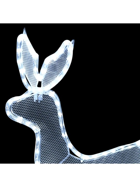 Kalėdinė lempučių ekspozicija, elnias ir rogės, 432 LED
