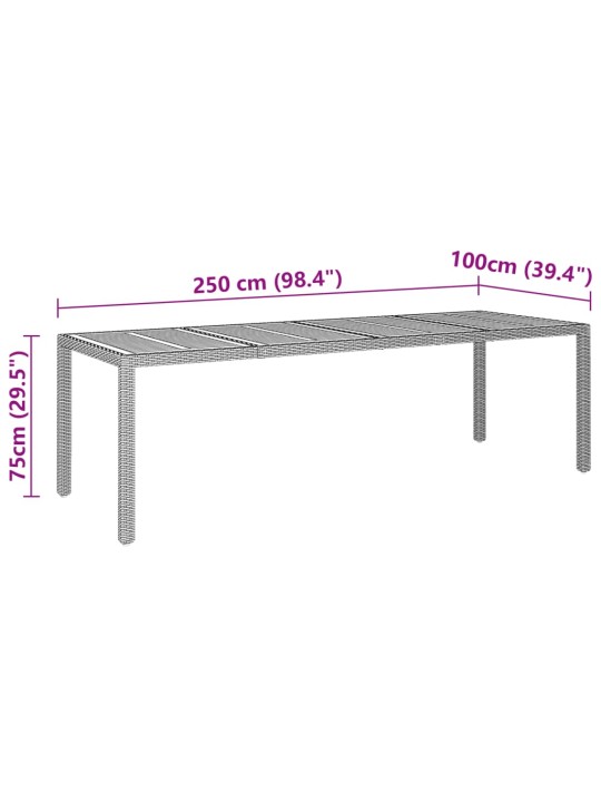 Sodo stalas, pilkas, 250x100x75cm, poliratanas ir akacija