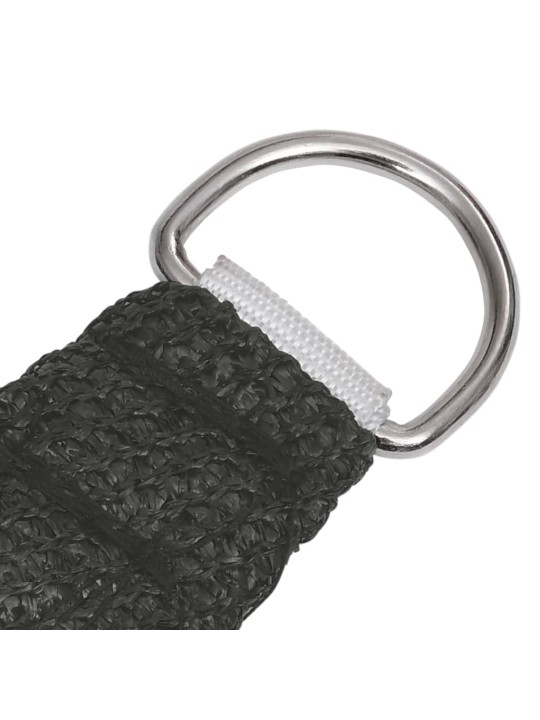 Uždanga nuo saulės, antracito spalvos, 2,5x4,5m, HDPE, 160g/m²
