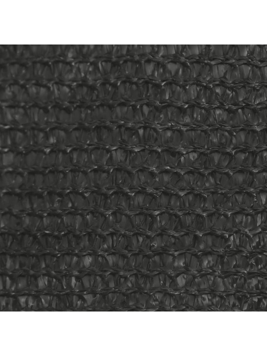 Uždanga nuo saulės, antracito spalvos, 2,5x4,5m, HDPE, 160g/m²
