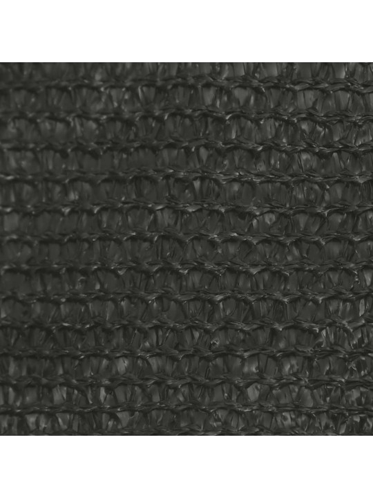 Uždanga nuo saulės, antracito spalvos, 3,5x4,5m, HDPE, 160g/m²