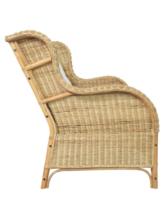 Dvivietė sofa, natūralus ratanas ir linas