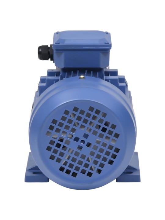 Trifazis elektros variklis, 4kW/5,5AG, 2 polių, 2840aps./min.