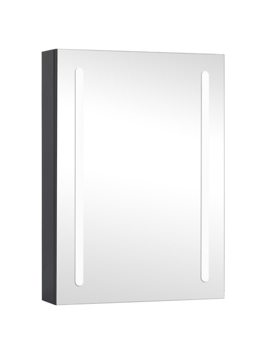 Veidrodinė vonios spintelė su LED apšvietimu, 50x13x70cm