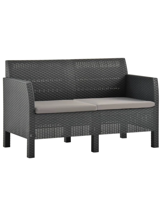 Dvivietė sodo sofa su pagalvėlėmis, antracito, PP ratanas