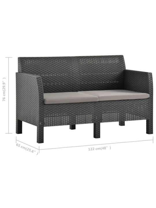 Dvivietė sodo sofa su pagalvėlėmis, antracito, PP ratanas