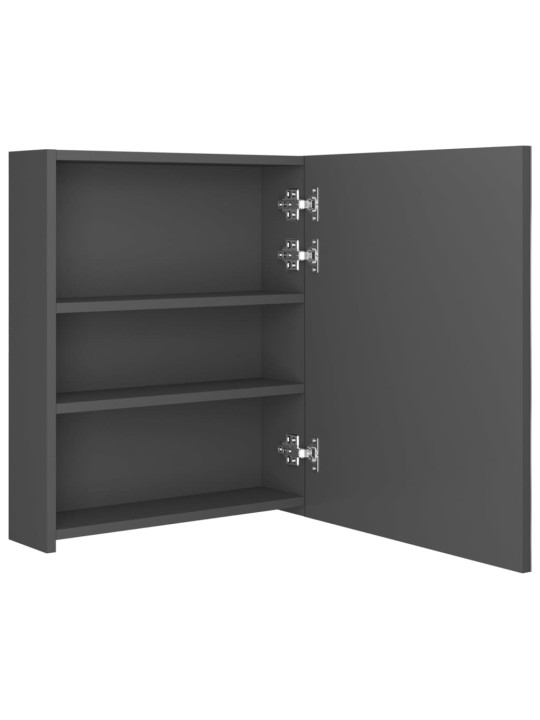 Veidrodinė vonios spintelė su LED apšvietimu, pilka, 50x14x60cm