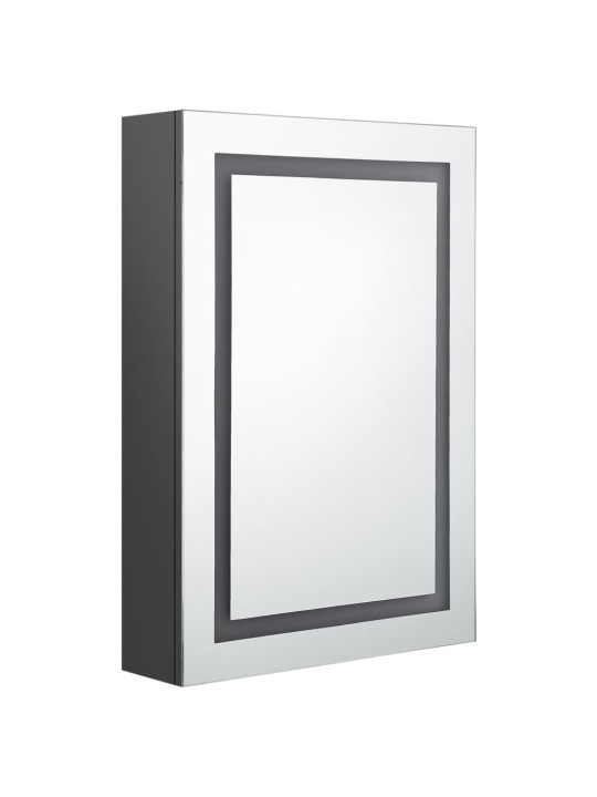Veidrodinė vonios spintelė su LED apšvietimu, pilka, 50x13x70cm