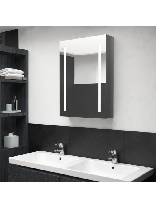 Veidrodinė vonios spintelė su LED apšvietimu, pilka, 50x13x70cm