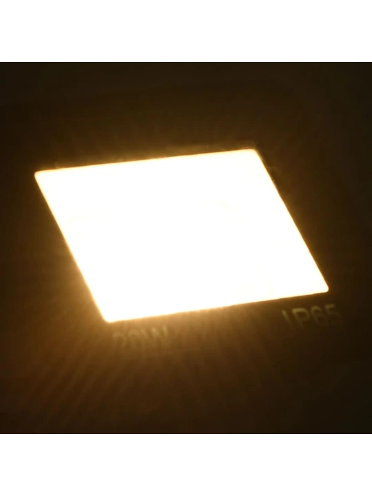 LED prožektorius, šiltos baltos spalvos, 20W