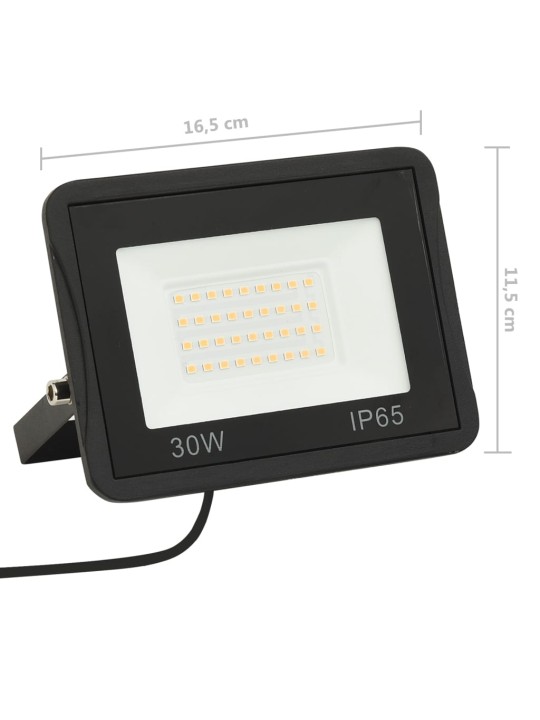 LED prožektorius, šiltos baltos spalvos, 30W