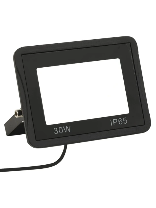 LED prožektorius, šaltos baltos spalvos, 30W