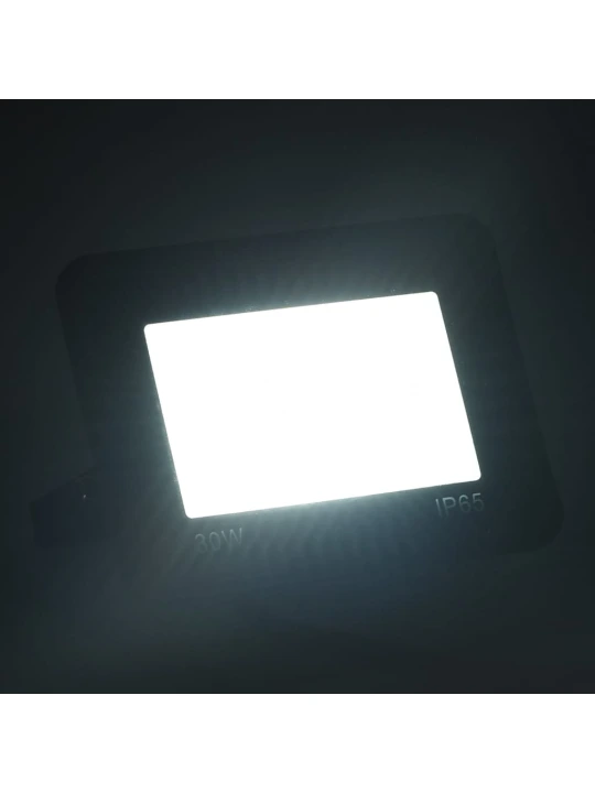 LED prožektorius, šaltos baltos spalvos, 30W