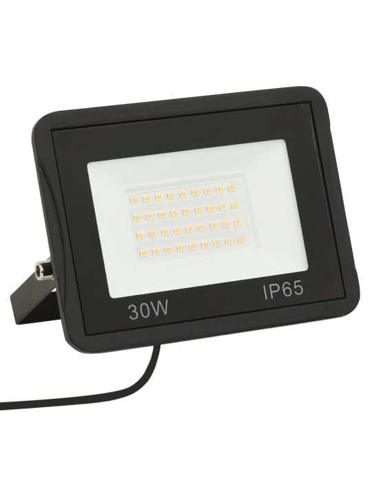 LED prožektorius, šaltos baltos spalvos, 30W