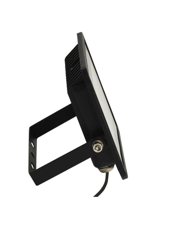 LED prožektorius, šaltos baltos spalvos, 30W