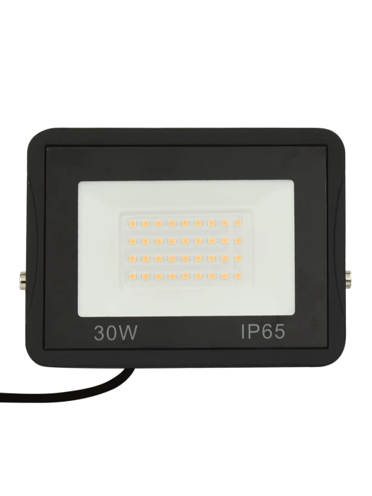 LED prožektorius, šaltos baltos spalvos, 30W