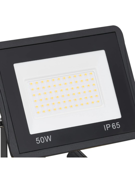 LED prožektorius su rankena, šiltos baltos spalvos, 2x50W