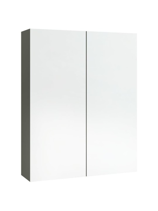 Veidrodinė vonios spintelė, pilkos spalvos, 60x15x75cm, MDF