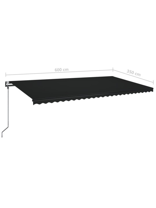 Automatinė markizė su LED/vėjo jutikliu, antracito, 600x350cm