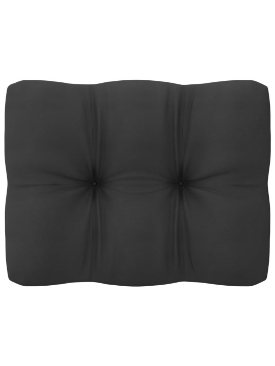 Keturvietė sodo sofa su pagalvėlėmis, pušies medienos masyvas